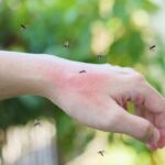 Zanzare e rischi